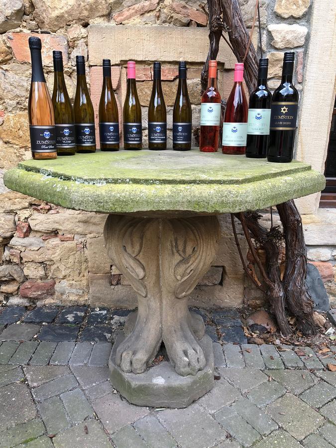 ホテルWeingut Zumstein バート・デュルクハイム エクステリア 写真